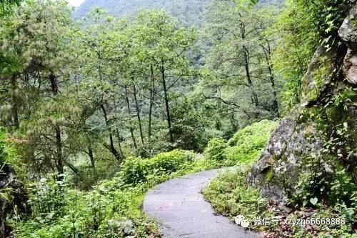 对“盟友”忠心耿耿的乌克兰，为何一次次被背叛？不只因为太弱