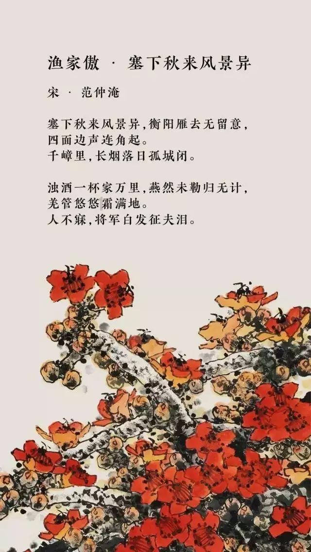 谭松韵中专