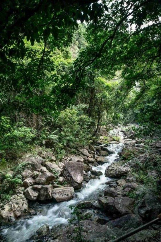 在学校食堂吃饭，我把饭卡的钱多刷了，怎么办游戏画面